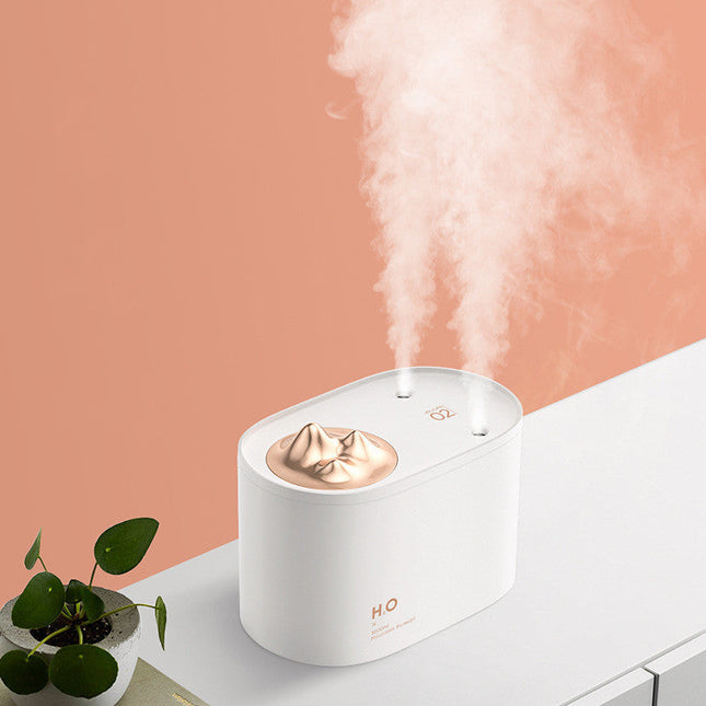 Wireless Mini USB charging sprayer