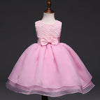 Pink / 24