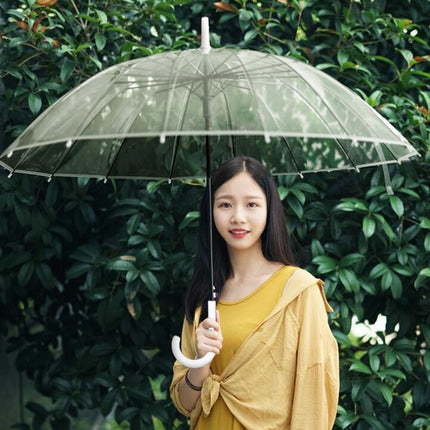 Big Long Handle 16 Rib Transparent Umbrella