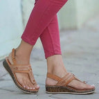 Brown / 42