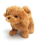 Teddy