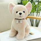 Chihuahua / 22cm