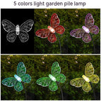 8 Heads / Colorful Light