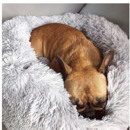 Good Pet Bed with Custom Box