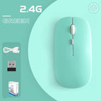 Light Green / Rechargeable