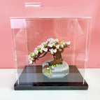 Cherry blossom / Display box