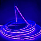 Purple light / DC 12V 8wide320D
