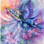 25x30