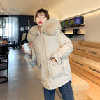 Beige / M