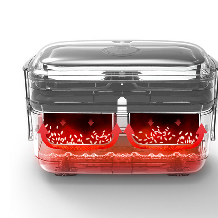 Electric lunch box