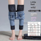 Fleece Vintage Blue Cropped / 25