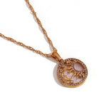 About Gold White Shell