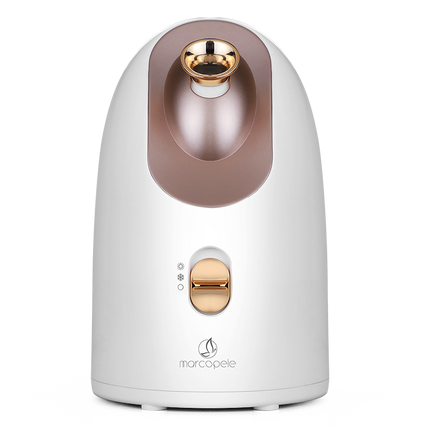Hot and cold face steamer