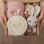 Rabbit suit B