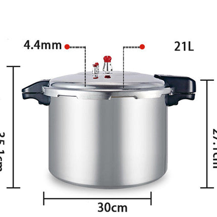 Sleek, Modern, High-Capacity Gas Induction Cooker – A Universal Design