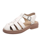 Beige / 35
