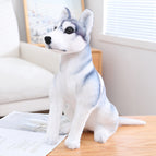 Sitting posture / 30cm