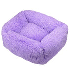 Purple / XS