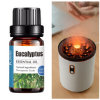 Eucalyptus / Set