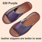 520 Purple / 24