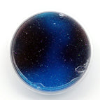 Black blue / 60ML