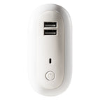 1W / Dual Usb / 220V US