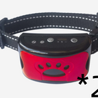 Red / 2PC