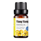 Ylang ylang / 10ML
