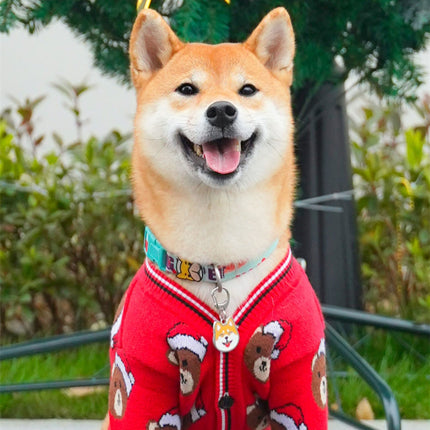 Sweater Dog Festive Festival Red New Year Greeting