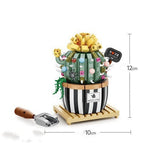 Cactus1 / No accessories