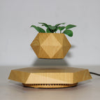 Wood grain / US