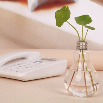 Creative Free Shipping Transparent Glass Bulb Vase