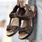Dark brown / 45