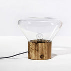 Clear Light / 220V US / button switch