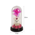 Acrylic Plastic Bottom / Pink