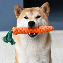 Collection image for: Dog Products