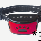Red / 3PC