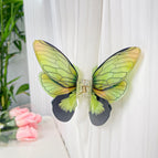 Phoenix Green
