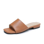 Brown / 35