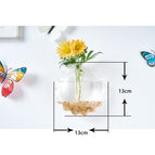 Sun Vase Screwless