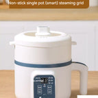 Smart model with steamer / UK