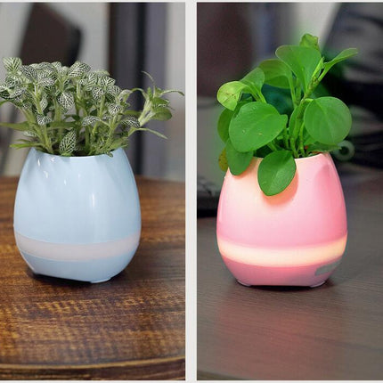 Music Flowerpot