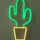 Cactus / USB