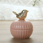 Little bird / C