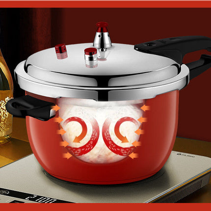 Pressure Cooker Stainless Steel Household Gas Induction Cooker