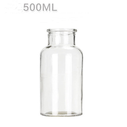 Hydroponic Plant Glass Bottle Living Room Decorations