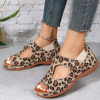 Leopard / 35.