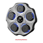 Gray / Bluetooth Music Boxing Target