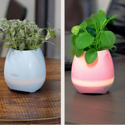 Touch-sensitive music vase desktop audio