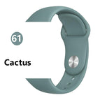 40 / Cactus